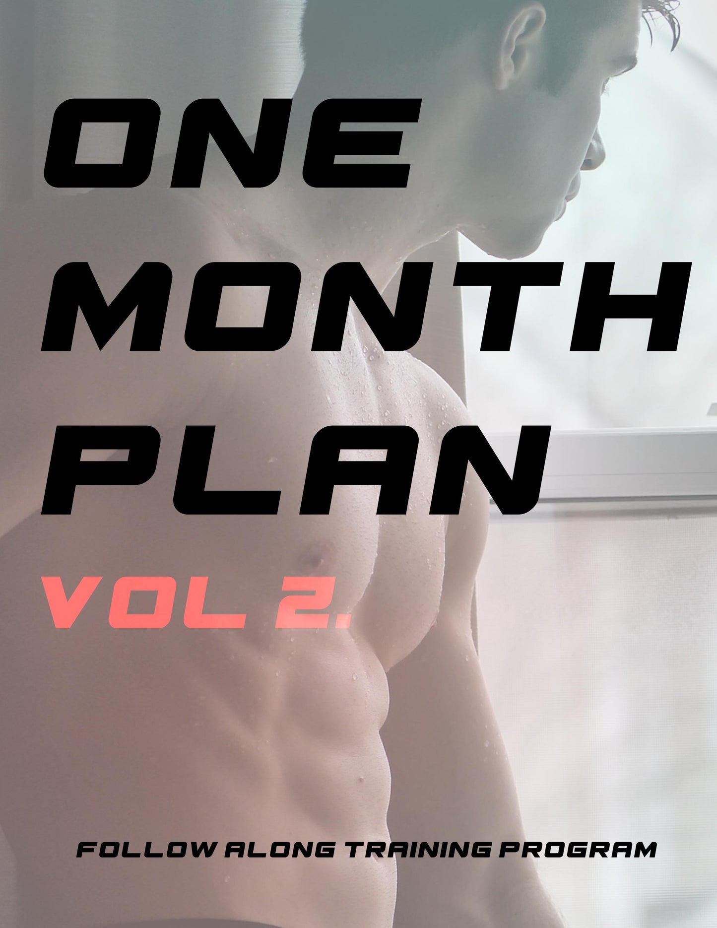 One Month Plan (Vol 2.)